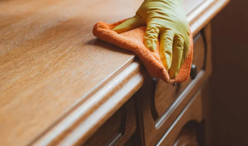 cleaning-maintenance-wooden-furniture-chair-table-with-rag-cleaning-agent-1 (1)